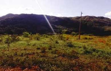 Imagem 15: Vendo granja em Brasilândia 65 hectares FAZENDA ALMÉCEGAS