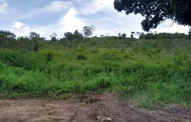 Imagem 5: Vendo terreno. 4.334m² de Área