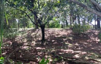 Imagem 7: Paraíso em Porto Feliz. Piscina, ChurrasqueiraeLareira