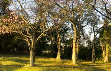 Imagem 16: Paraíso em Porto Feliz. Piscina, ChurrasqueiraeLareira