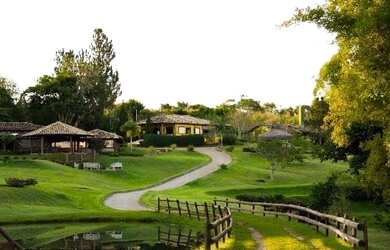 Imagem: A fazenda está localizado em Santo Amaro, BA à venda por R$1.000.000