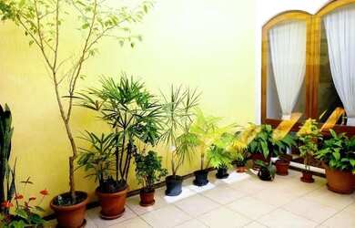 Imagem 16: Casa em Santana. Piscina, Churrasqueira, Lareirae5 Vagas na garagem