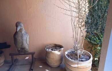 Imagem 5: Casa com 4 dormitórios à venda, 390 m² por R$ 6.000.000,00 - Jardim...