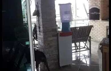 Imagem 9: Exelente casa duplex 2 quartos em Unamar Cabo Frio-Rua atrás UPA Tamoios