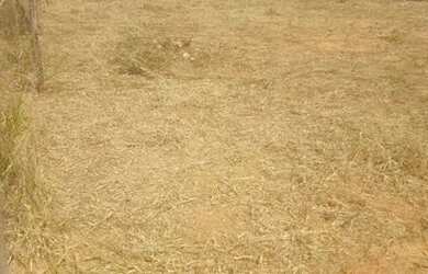 Imagem: O terreno possui 300-0m² de Área e está localizado em Setor