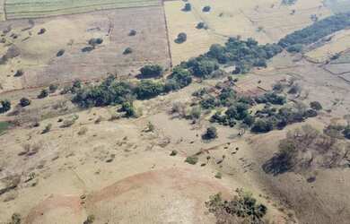 Imagem 6: Fazenda à venda, 206 m² por R$ 25.000.000,00 - Zona Rural - Ribeirão...