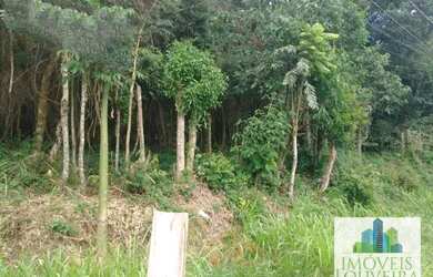 Imagem 6: Terreno à venda, 1000 m² por R$ 450.000,00 - Jardim América - Louveira/SP