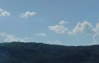 Imagem 3: Vendo granja em Brasilândia 65 hectares FAZENDA ALMÉCEGAS