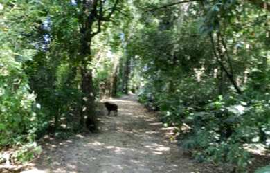 Imagem 14: Paraíso em Porto Feliz. Piscina, ChurrasqueiraeLareira