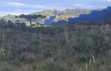 Imagem 2: Terreno para Venda em Alfredo Wagner, FAZENDA BELA VISTA