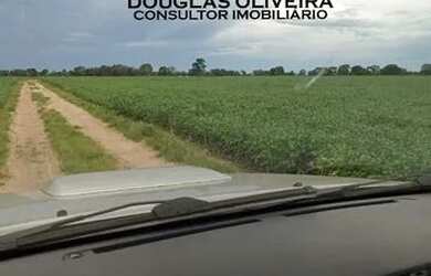 Imagem: A fazenda possui Imóvel novo e está localizado em Engenheiro