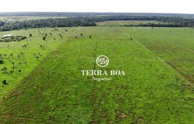 Imagem 6: Fazenda 62 Alqueires - 58 Alqueires Formados em Capim