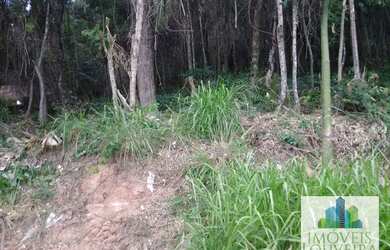 Imagem 5: Terreno à venda, 1000 m² por R$ 450.000,00 - Jardim América - Louveira/SP