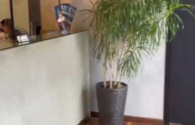 Imagem 5: RIO DE JANEIRO - Galpão/Depósito/Armazém - Recreio dos Bandeirantes