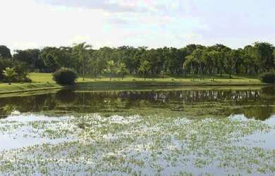 Imagem 10: Terreno à venda, 1300 m² por R$ 933.520,00 - Condomínio Fazenda Alvorada...