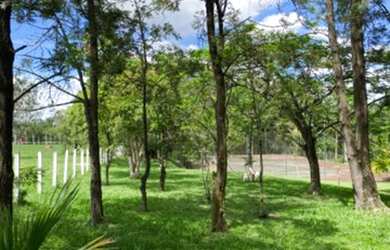 Imagem 13: Paraíso em Porto Feliz. Piscina, ChurrasqueiraeLareira