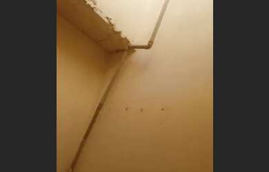 Imagem 5: Casa no Vergel. 1 Banheiroe2 Dormitórios