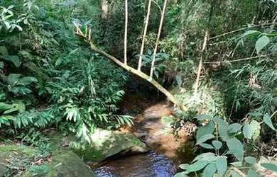 Imagem 2: Vendo terreno com linda vista e acesso a cachoeira no boa vista em igarata