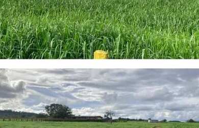 Imagem: A fazenda possui 20850000m² de Área e está localizado em