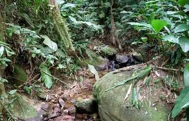 Imagem 16: Vendo terreno com linda vista e acesso a cachoeira no boa vista em igarata