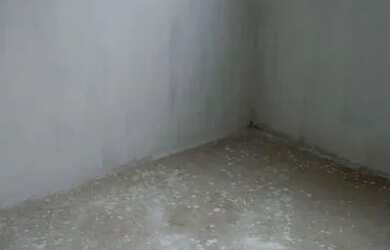 Imagem 5: Promoção casa pequena 55 mil