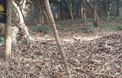 Imagem 2: Terreno à venda, 523 m² por R$ 280.000,00 - Fazendinha - Carapicuíba/SP