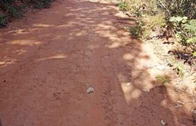 Imagem: A fazenda possui 835m² de Área e está localizado em Pindorama