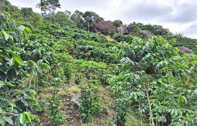 Imagem: A chácara possui Direto com o proprietário e está localizado