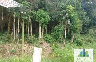 Imagem 4: Terreno à venda, 1000 m² por R$ 450.000,00 - Jardim América - Louveira/SP