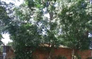 Imagem: A chácara possui 5.700m² de Área e está localizado em Garça