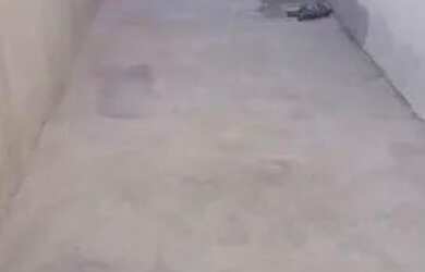 Imagem: A casa possui 1 Dormitório e 1 Banheiro e está localizado