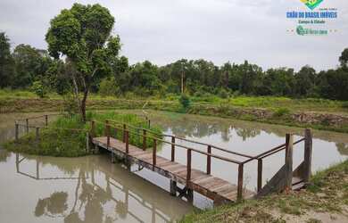 Imagem: A fazenda possui 200m² de Área e está localizado em Palmeiras