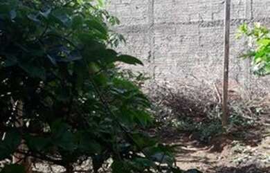 Imagem: A casa possui 2 Dormitórios, 1 Banheiro, 2 Vagas na garagem