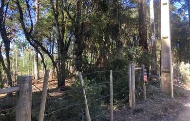 Imagem 5: Terreno em Canela. 1.600m² de Área