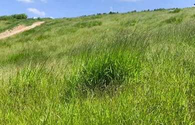 Imagem: O terreno possui 500m² de Área e está localizado em Centro