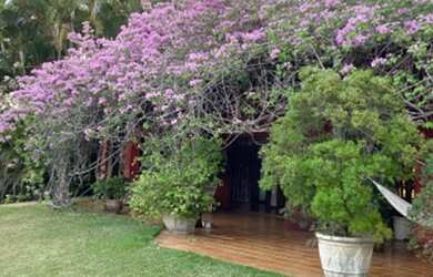 Imagem 12: Paraíso em Porto Feliz. Piscina, ChurrasqueiraeLareira