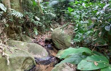 Imagem 13: Vendo terreno com linda vista e acesso a cachoeira no boa vista em igarata