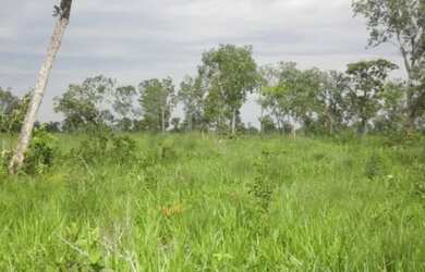 Imagem: FAZENDA NEGOCIO DE OPORTUNIDADE!!!