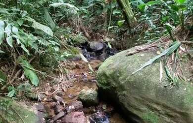 Imagem 11: Vendo terreno com linda vista e acesso a cachoeira no boa vista em igarata