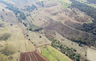 Imagem 2: Fazenda à venda, 206 m² por R$ 25.000.000,00 - Zona Rural - Ribeirão...