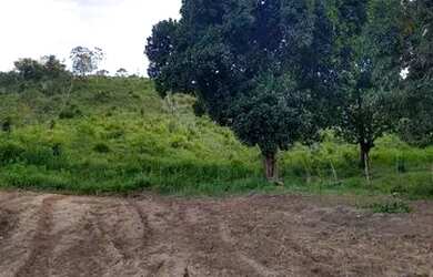 Imagem 3: Vendo terreno. 4.334m² de Área