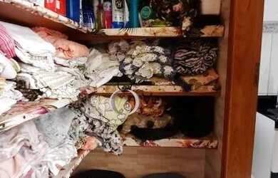 Imagem 2: Casa Santa Rosa - Guarujá/SP