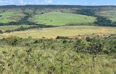 Imagem: A fazenda está localizado em Buritis, Belo Horizonte à venda