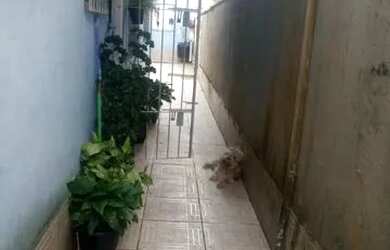 Imagem 12: Casa Térrea para venda tem 80 metros quadrados com 1 quarto em Jussara-...