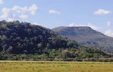 Imagem 9: Vendo granja em Brasilândia 65 hectares FAZENDA ALMÉCEGAS