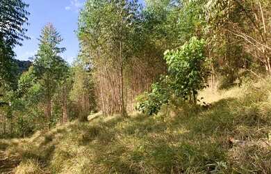 Imagem 3: Vendo terreno com linda vista e acesso a cachoeira no boa vista em igarata