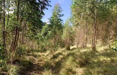 Imagem 1: Vendo terreno com linda vista e acesso a cachoeira no boa vista em igarata