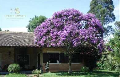 Imagem 4: Casa para locação Fazendinha muito verde e lazer para família