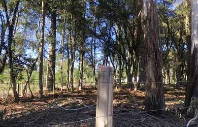 Imagem 6: Terreno em Canela. 1.600m² de Área