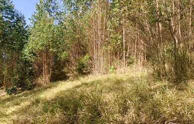 Imagem 10: Vendo terreno com linda vista e acesso a cachoeira no boa vista em igarata